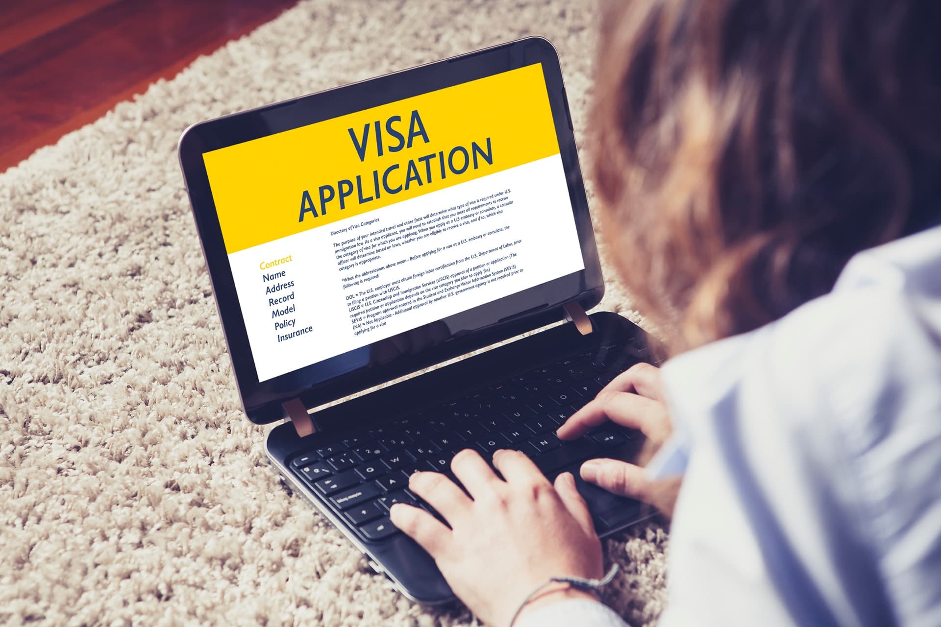 VISA パソコン